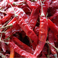 Mulak / Chilly (2nd quality)