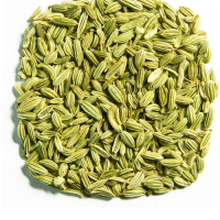 Perumjeerakam / Fennel